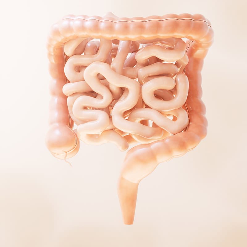 Gastric Intestinal Metaplasia (GIM) Surveillance – Richmond ...